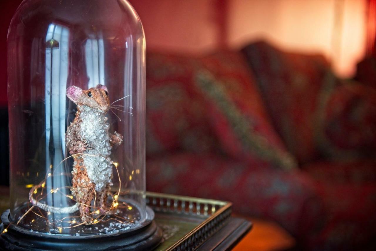 The Old Vicarage Hotel & Restaurant Bridgwater Esterno foto A mouse in a bell jar
